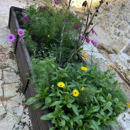 La Maison Bleue Classee 3 Etoiles Limeyrat