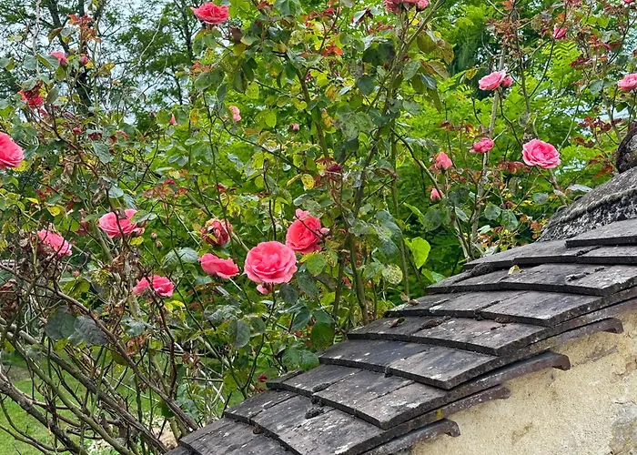 La Maison Bleue Classee 3 Etoiles Σπίτι διακοπών Limeyrat