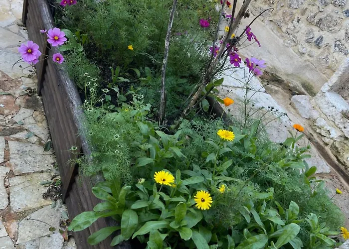 La Maison Bleue Classee 3 Etoiles Limeyrat